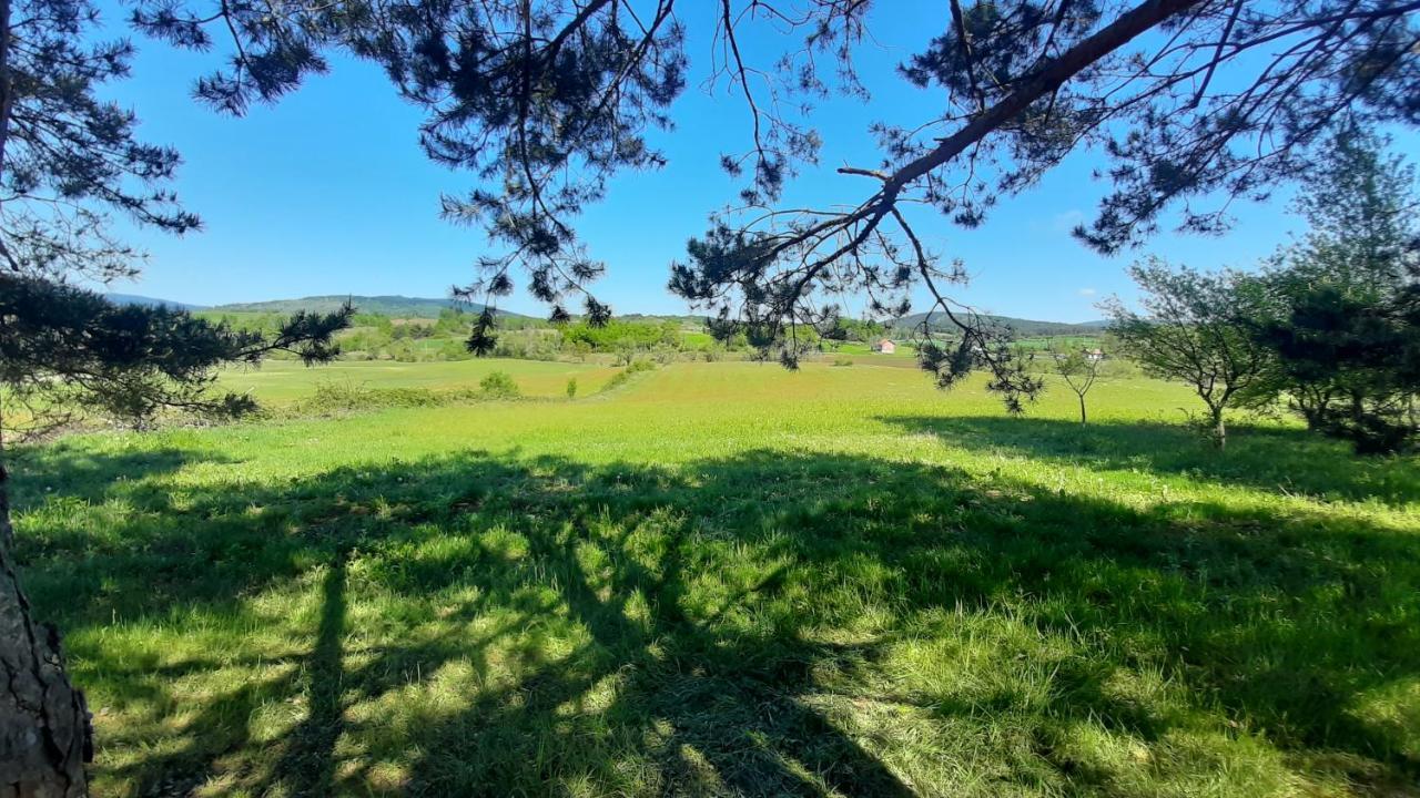 Villa Tiny House Grabovac Rakovica Esterno foto