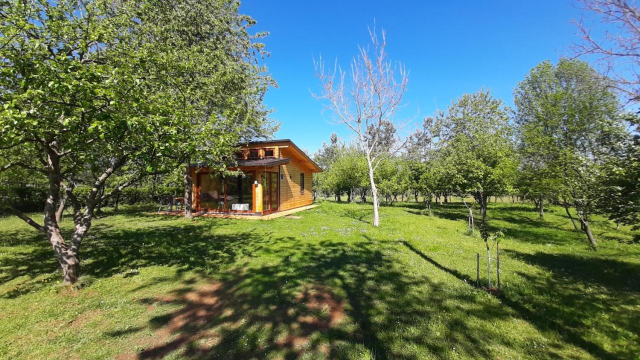 Villa Tiny House Grabovac Rakovica Esterno foto