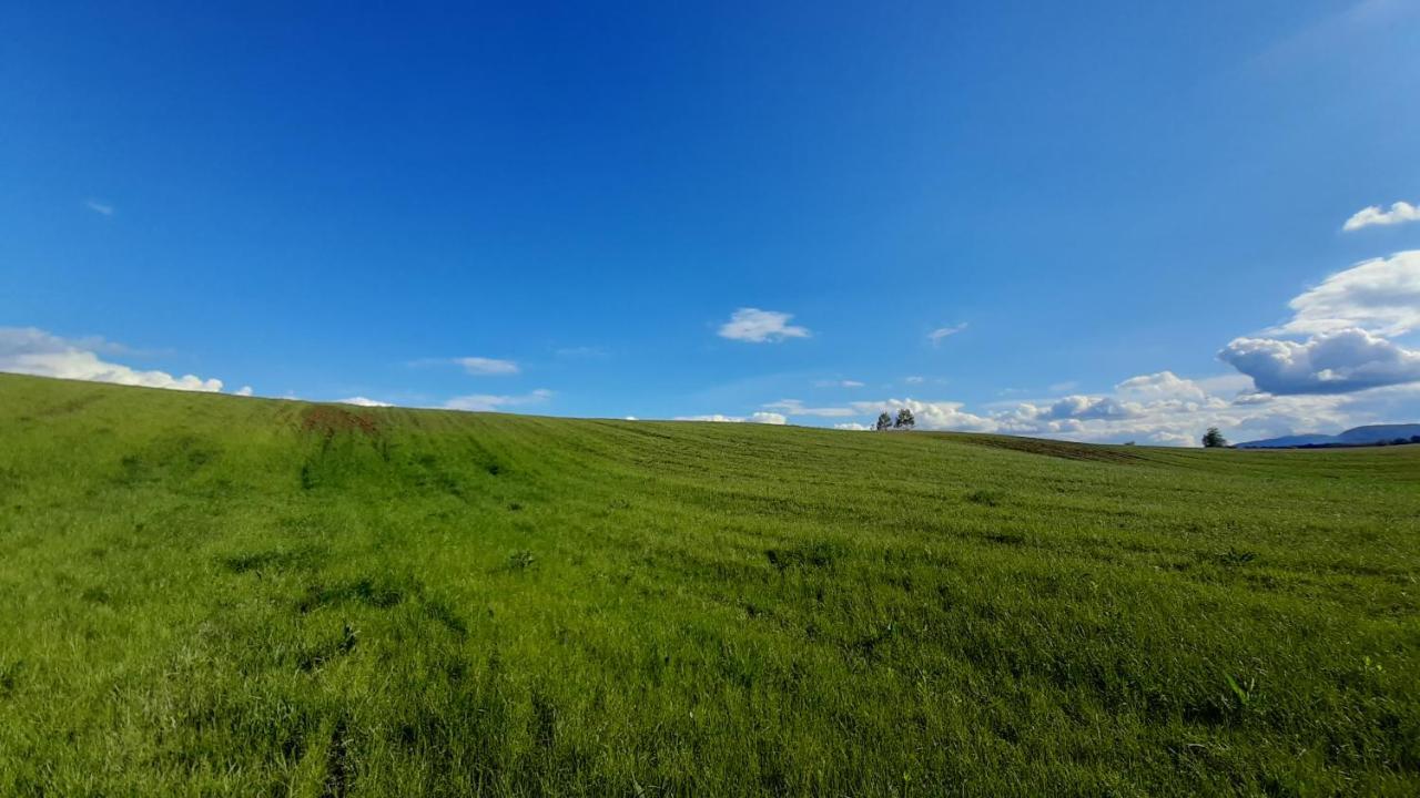 Villa Tiny House Grabovac Rakovica Esterno foto