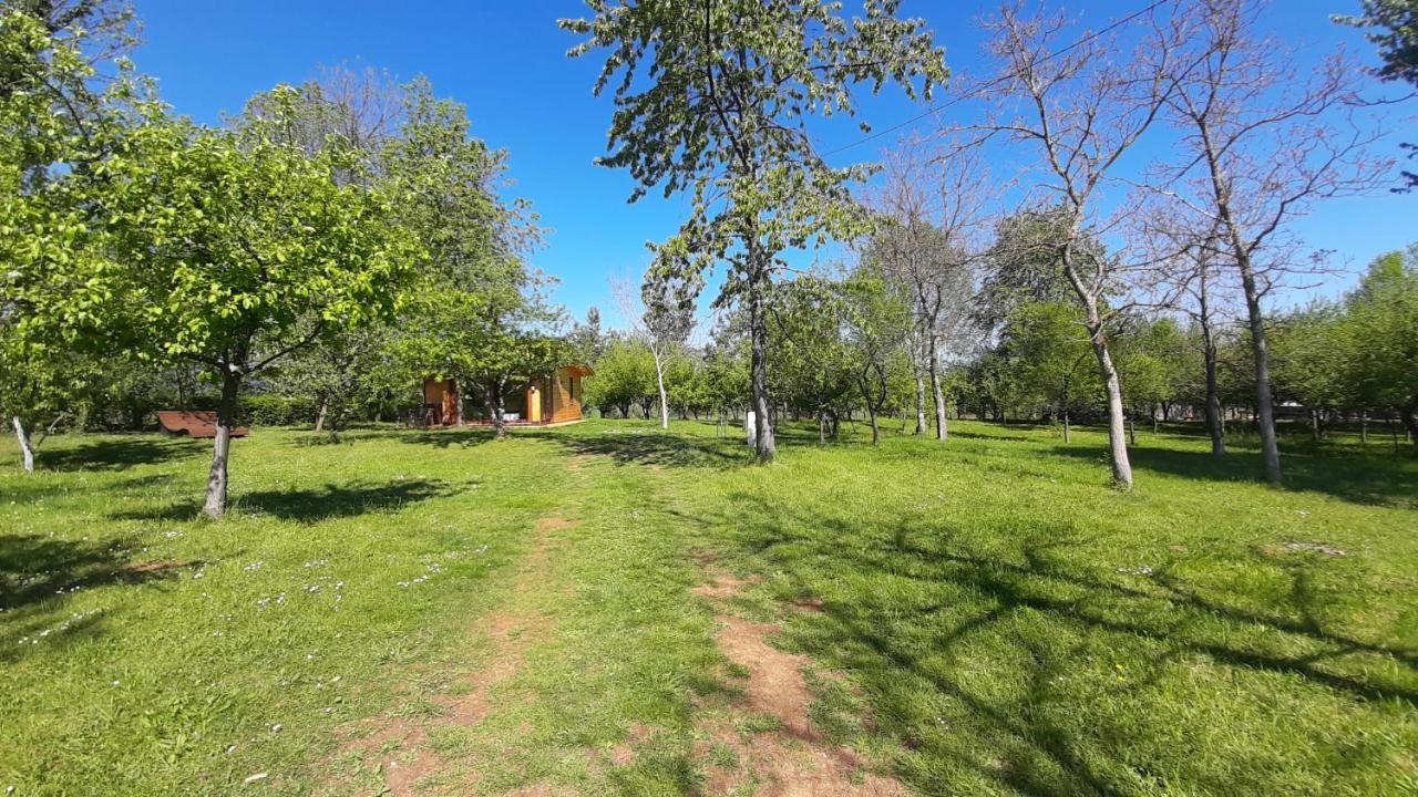 Villa Tiny House Grabovac Rakovica Esterno foto