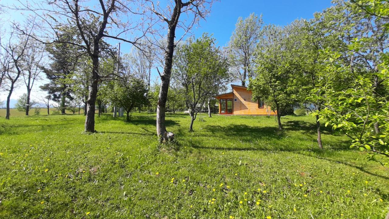Villa Tiny House Grabovac Rakovica Esterno foto