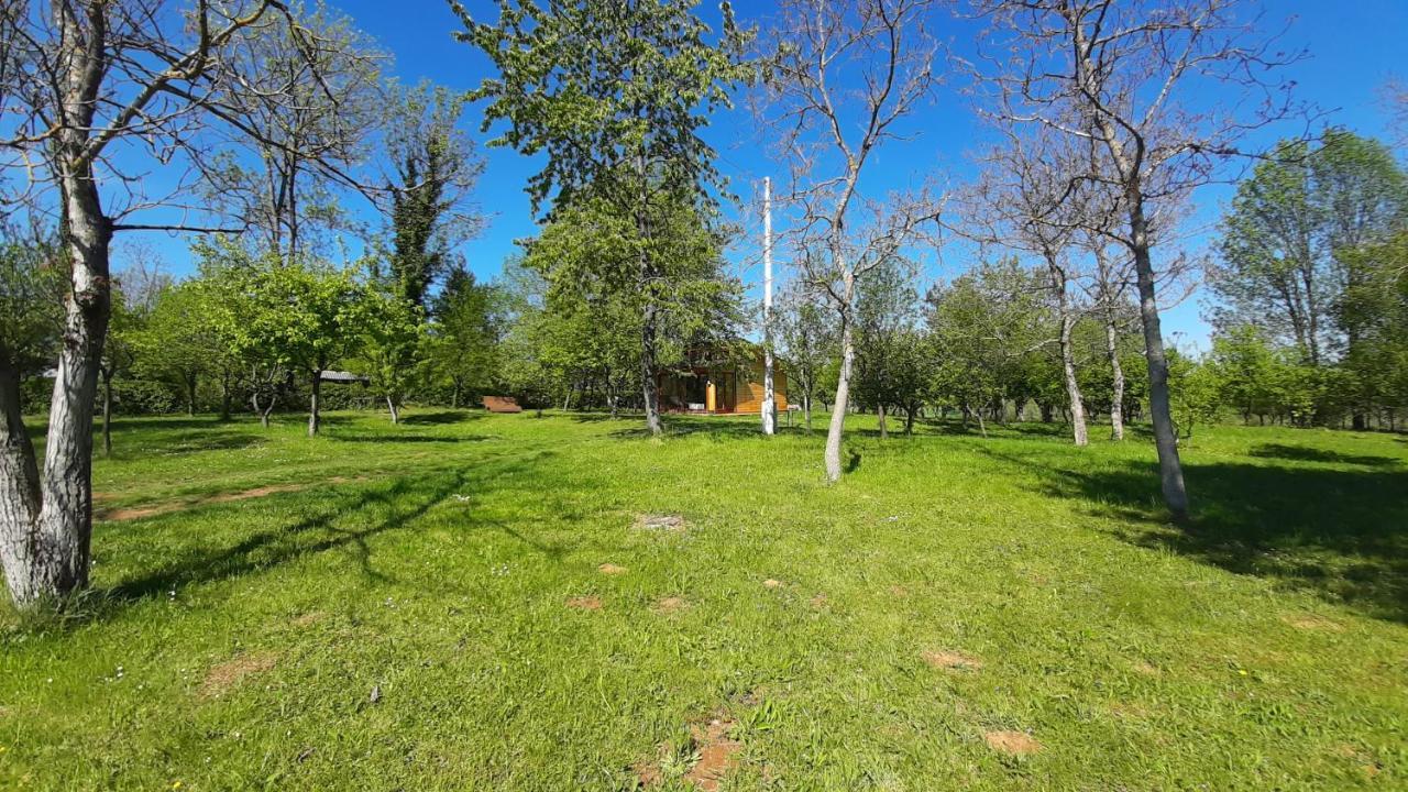 Villa Tiny House Grabovac Rakovica Esterno foto